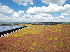 Sustainable-Roofing-1