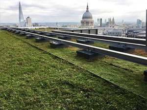 Sustainable-Roofing-4